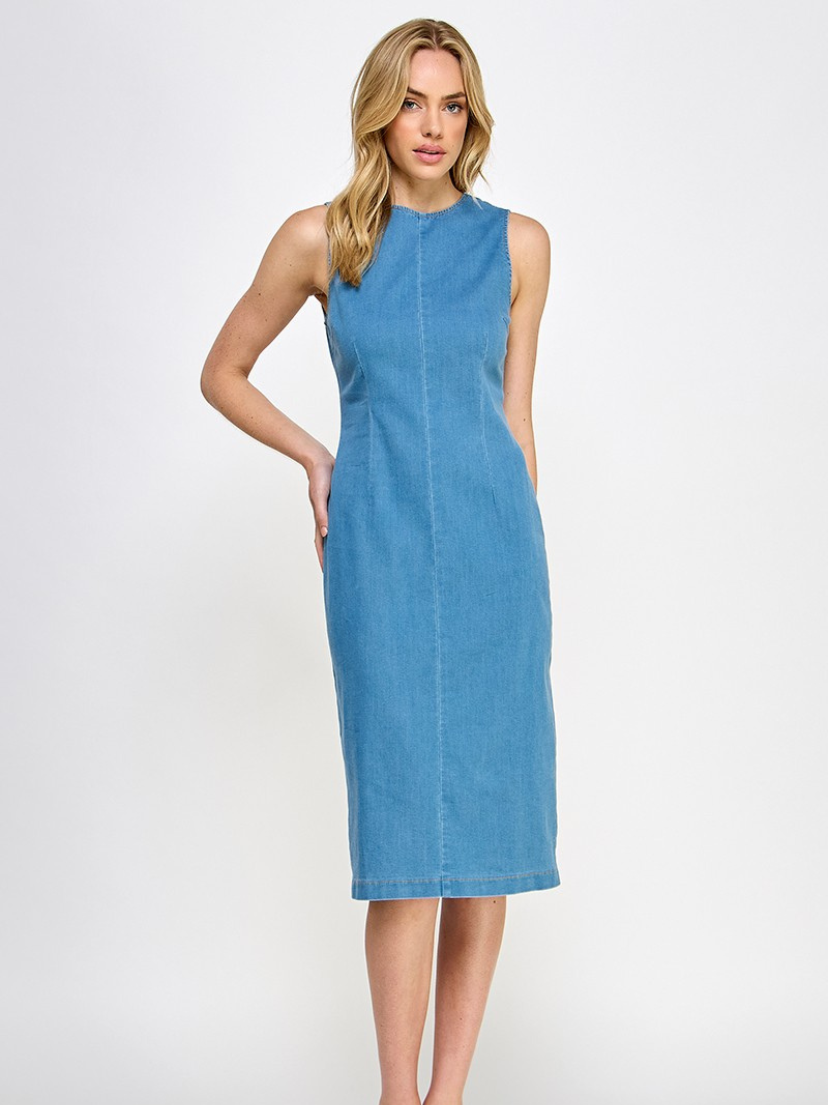 In Your Daydreams Denim Dress